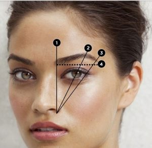 measuring out the perfect brow shape