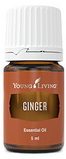 Ginger 5 ml
