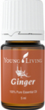 Ginger 5ml Ginger 5ml