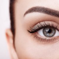 Female Eye with lash lifted eyelashes