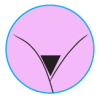 Standard Bikini wax image