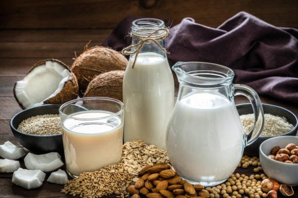 different varieties of non-dairy milk