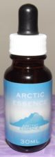 Arctic Essence