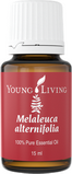 melaleuca-alternifolia-15ml melaleuca-alternifolia-15ml